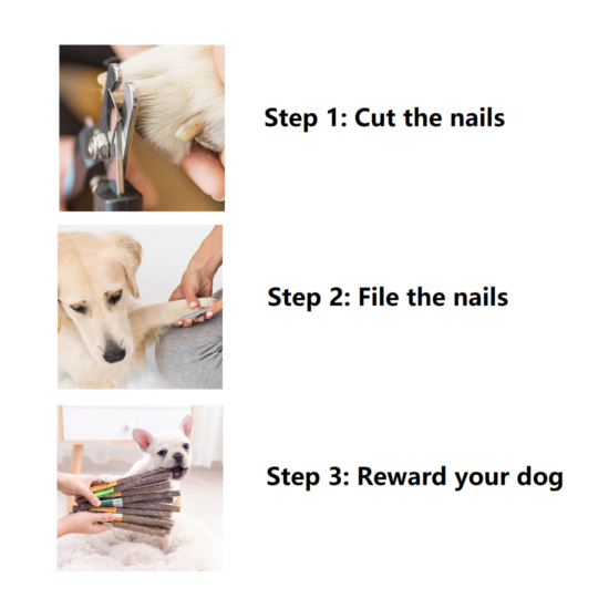 Pet Dog Toe Nail Cutters Professional Safe Trimmers with File Grooming at Home image {8}