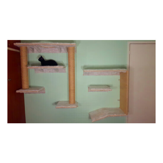 cat wall shelves designed for Maine coons image {2}
