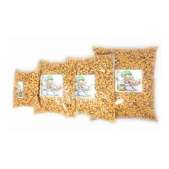 Iowa Grown Feed Corn - Multiple Sizes to Choose from - Great for Wildlife - Feed image {2}