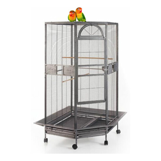 Extra Large 63" Corner Cage For Cockatiel Parakeet Budgies Parrot Seed Skirts 18 image {1}