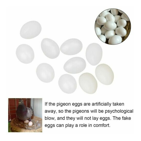 10pcs Solid Plastic Eggs Dummy Eggs For pigeons white color image {3}