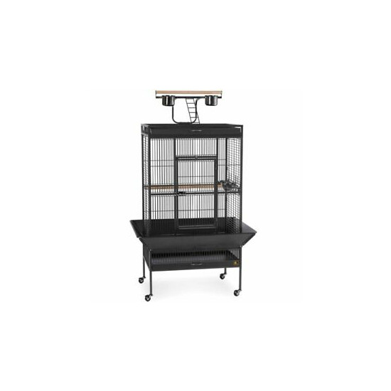 CAGE IRON BLACK PARROT 30x22x63 w/PLAYTOP image {1}