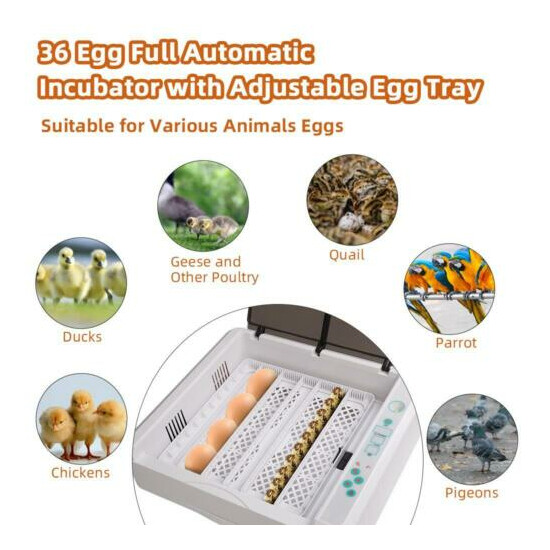36 LED Light Egg Practical Fully Automatic Poultry Incubator with LED Light US image {1}