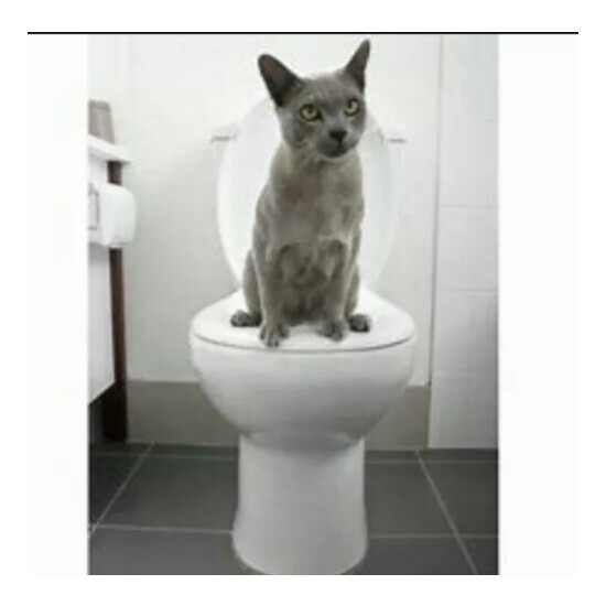 Litter Kwitter 3 Step Cat Training System Teach Kitty to Use Toilet with DVD image {2}
