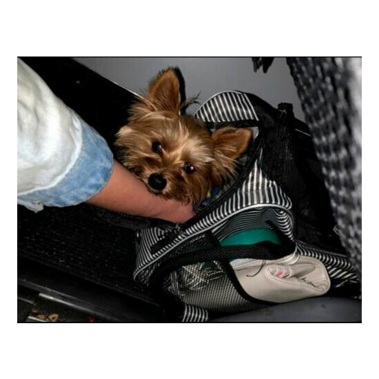 Cat And Small Dog Handbag Carrier Small Size For Travel Outdoor Comfort image {2}