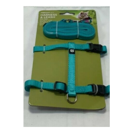 Vibrant Life Teal Harness & Leash For Kitty Cats 5-10 LBs Outdoor Pets Training  image {1}