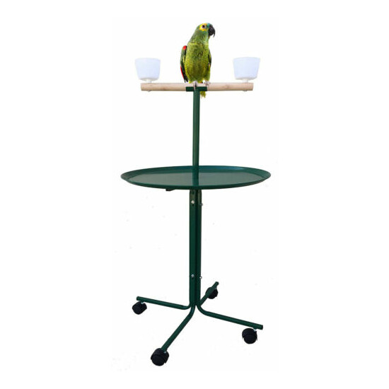 Large 46" Parrot Play Stand Perch Cups Metal Base African Grey Macaw Cockatoo GN image {1}