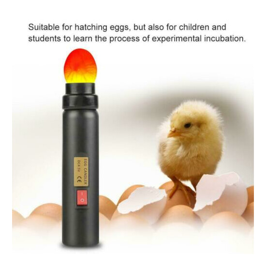 LED Light Incubator Egg Candler Tester For Hatching Eggs Quail Poultry 100-240V image {1}