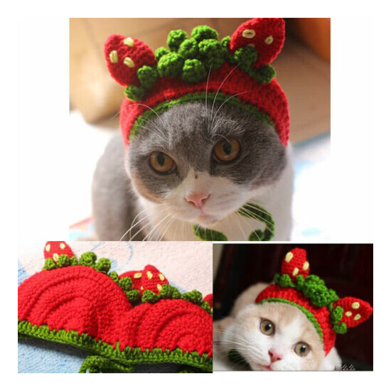 Pet Cat Kitty Strawberry pie fruit Woolen Kitten Cap Knitted Cosplay Hat S/M image {1}