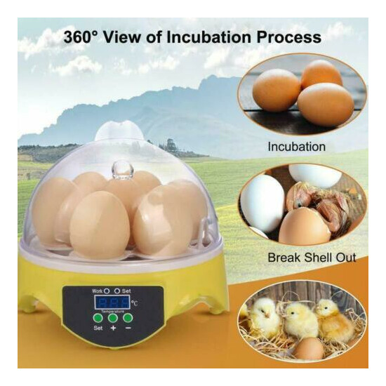 Egg Incubator, Temperature Control Hatching Machine Automatic Incubator for Chic image {1}