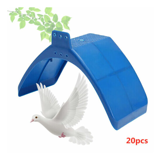 20 Pack Pet Dove Rest Stand Frame Dwelling Pigeon Perches Birds Roost Supplies image {1}