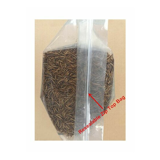 Hatortempt 5 lbs Non-GMO Dried Mealworms-High-Protein Mealworms for Wild Bird... image {4}