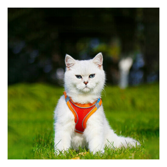 4 Size Adjustable Escape Proof Cat Harness with Leash Reflective Collar Cat Harn image {3}