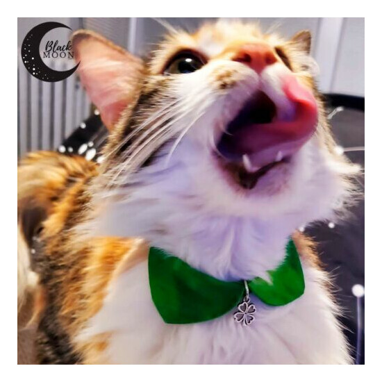 Cat Collar*Saint Patrick*Cute Cat Collar*Pet Gift*Mini Dog Collar image {4}