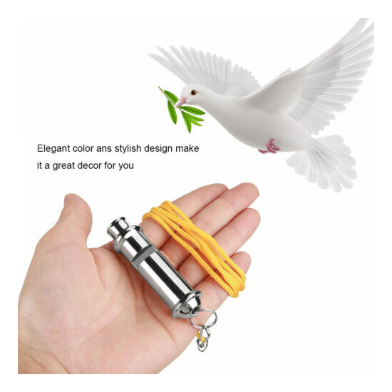 Stainless Steel Ultrasonic Pigeon Whistle Behavior Training Bird Feeding Helper image {1}