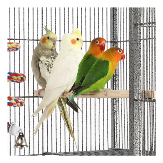 69'' Large Bird Parrot Cage Cockatiel Conure Cacique Pionus w/Stand & Two Doors image {7}