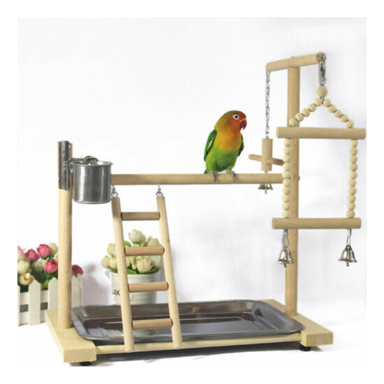 Parrot Tree Bird Stand Wood Parrot Stand Bird Training Tree Play Gym Prop Gift image {1}