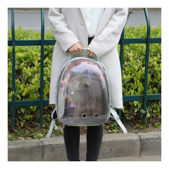 Cat Portable Bag Breathable Mesh Travel Pet Carrier Outdoor Transparent Backpack image {3}