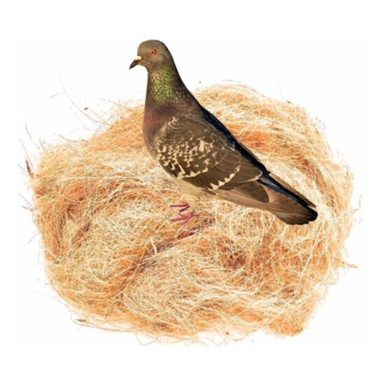 GAPS Coconut Fiber for Bird Nest, Chicks Nest Box - Nest Building/Hideouts, 5 oz image {3}