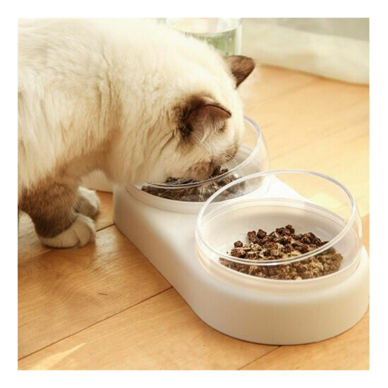 Cat Dog Automatic Feeder Pet Food Bowl Water Dispenser Feed Storage Container Us image {2}