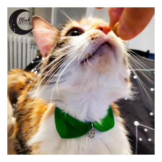 Cat Collar*Saint Patrick*Cute Cat Collar*Pet Gift*Mini Dog Collar image {3}