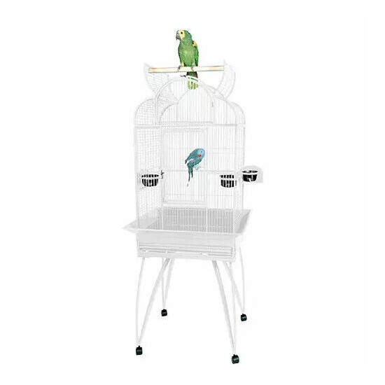 King's Cages SLT4 2217 Small Parrot Bird Cage 22X17X63 Toys Cockatiel Budgies image {7}