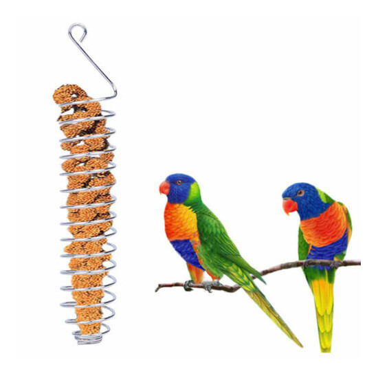 Parrot Food Fruits Basket Millet Stainless Steel Feeding Device Bird Cage Feeder image {2}