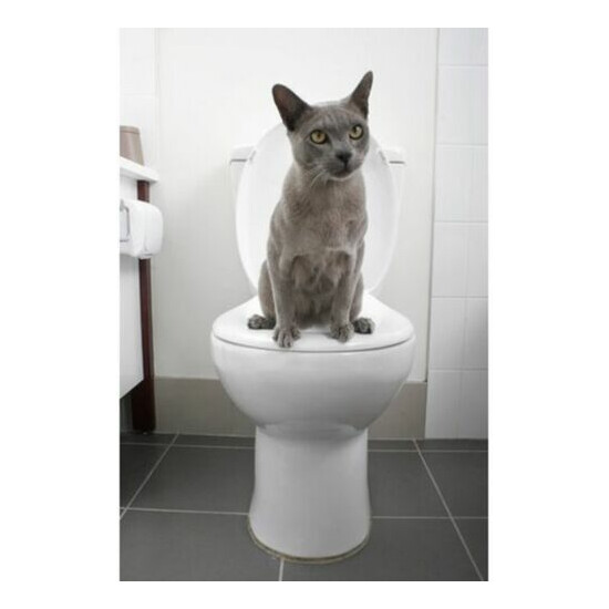 LITTER KWITTER Cat Toilet Training System--LK-1---brand new image {3}