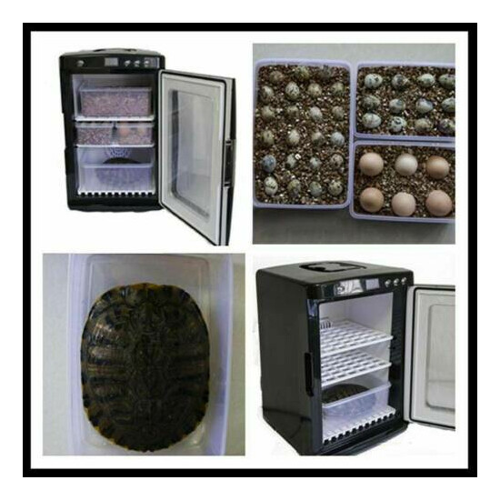 Automatic High Quality Reptile Incubator Egg Keeping Breeding Thermostat Tools image {2}