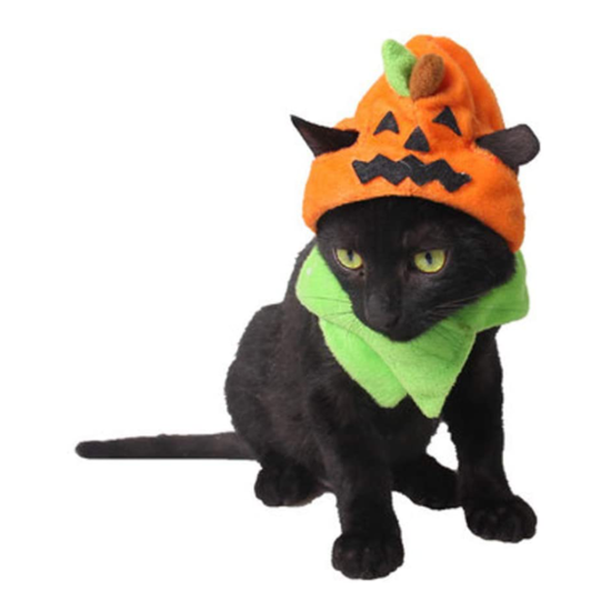 Halloween Pumpkin Cat Hat Cat Cosplay Costume Cap Kitty Cat Collar NEW image {2}