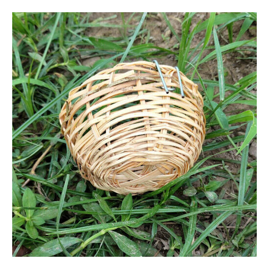 Bird's Nest Toys, Canary Cage Toys Parrot Canary Natural Bamboo image {1}