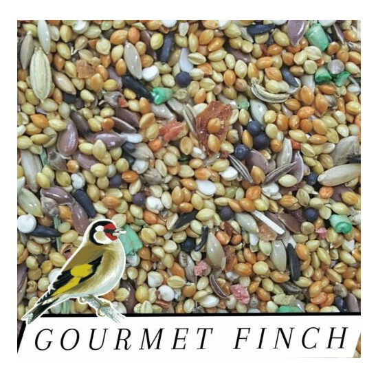 Gourmet Finch & Canary Food with Fruit & Vegetables Feed Diet Choose size!!! image {1}