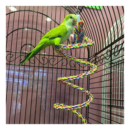 2 PACKS Parrot Hanging Braided Budgie Chew Rope Bird Cage Toy Stand Swing NEW image {5}