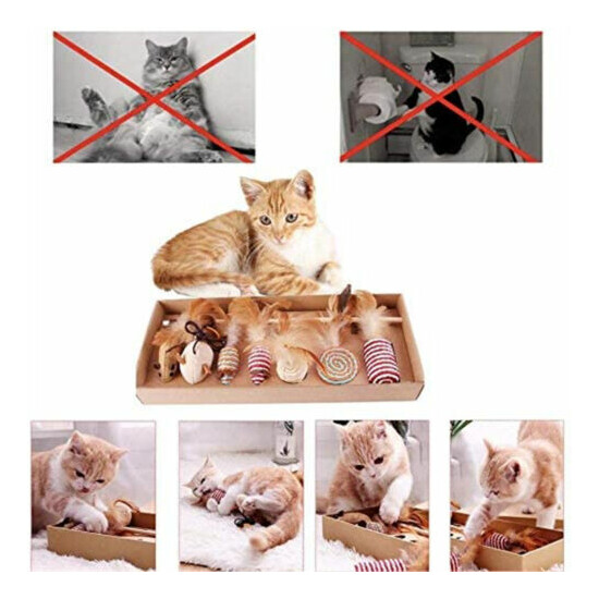 7pcs Cat Teaser Wand Toys Behavior Training Kitty Toy Interactive Toy with Cat  image {3}