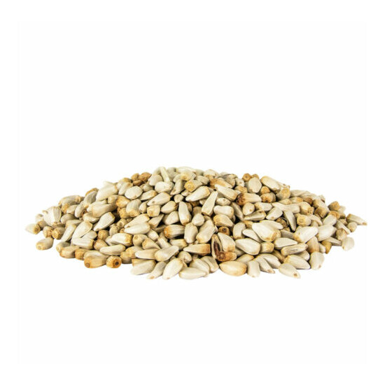 Pennington Select Safflower Seed, Wild Bird Feed and Seed, 7 lb. Bag image {3}