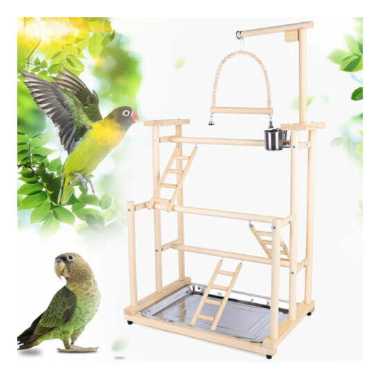 Bird Swing Hanging Bridge Stand Wooden Wear Resistance Parrot Climbing Toys Tray image {1}