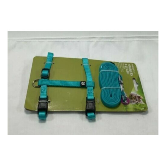 Vibrant Life Teal Harness & Leash For Kitty Cats 5-10 LBs Outdoor Pets Training  image {4}