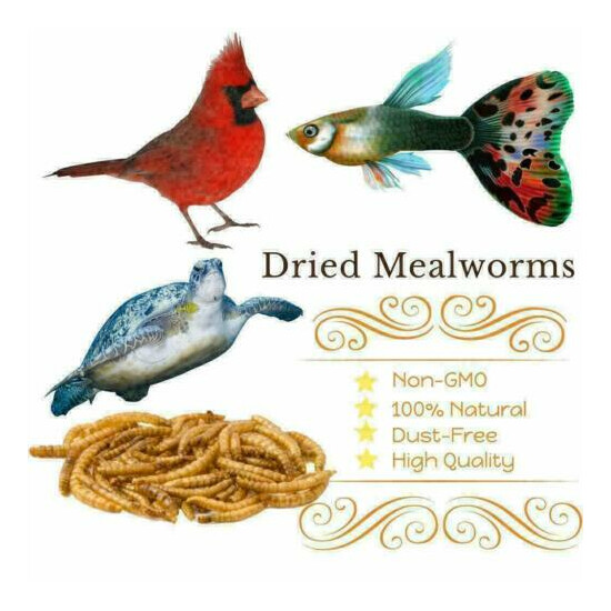 Dried Mealworms Non-GMO Natural Food for Wild Birds Chickens 10OZ/ 11/22/44 LBS image {4}