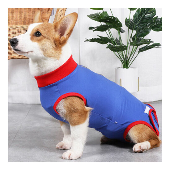 Recovery Suit Anti Licking Dog Supplies Portable Soft Pet Wound Protection image {3}