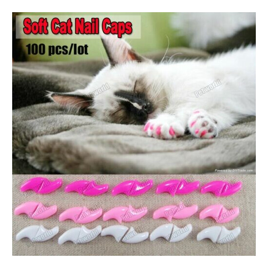 100pcs Nail Caps For Cat Soft Cat Paw Claw Nail Protector Free Adhesive Glue image {2}