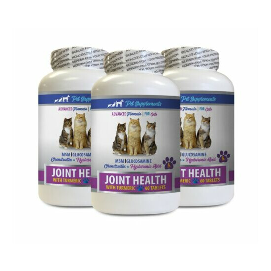 hip and joint for cats - CAT TURMERIC FOR JOINT HEALTH 3B - cat turmeric image {1}