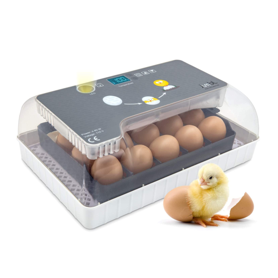 Incubadora de Huevos Automática para 12-35 Huevos Fácil Funcionamiento image {1}