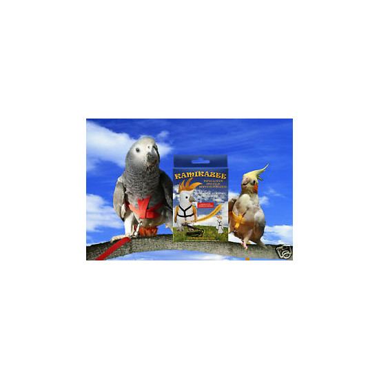 Kamikazee Bird Harness, Parrot Harness with FlightLeash image {1}