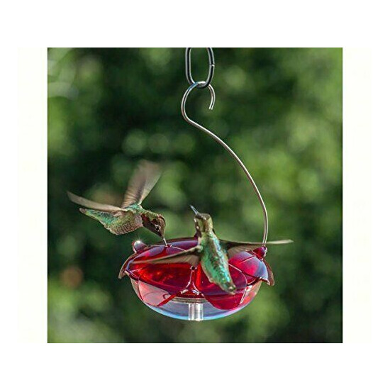 2-Pack Droll Yankees RS-3HC Hanging Capacity Hummingbird Nectar Bird Feeder, 5 image {3}