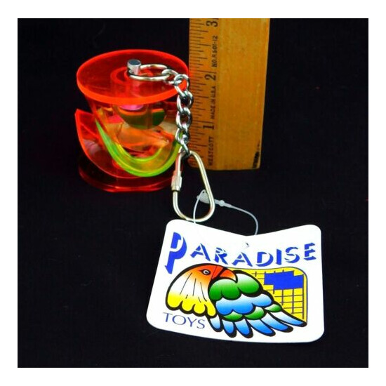 Lot 12 Paradise Toys SM Med Parrot Bird Acrylic Toy Rattle Cylinder 322 Caitec image {2}