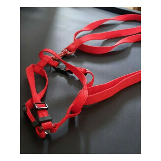Adjustable Size Cat Harness and Leash image {3}