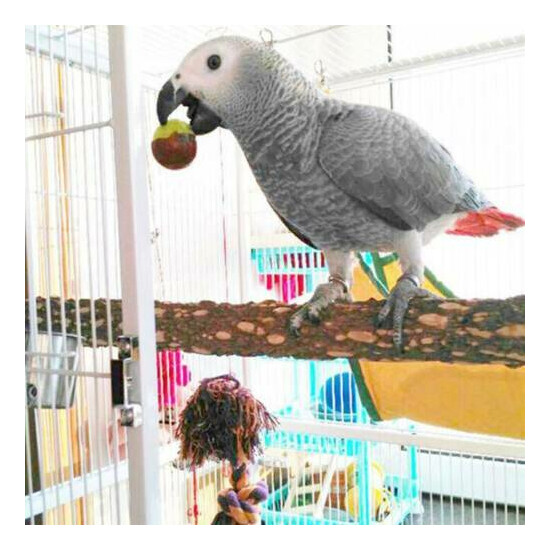 Lovely Pet Parrot Bird Toy Wood Standing Stick Perching Portable Pet Product YS image {1}