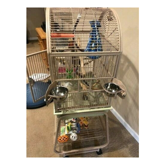 Bird cage with stand. Overall 18 x 24 x 53 dome top beige. Includes toys shown image {4}
