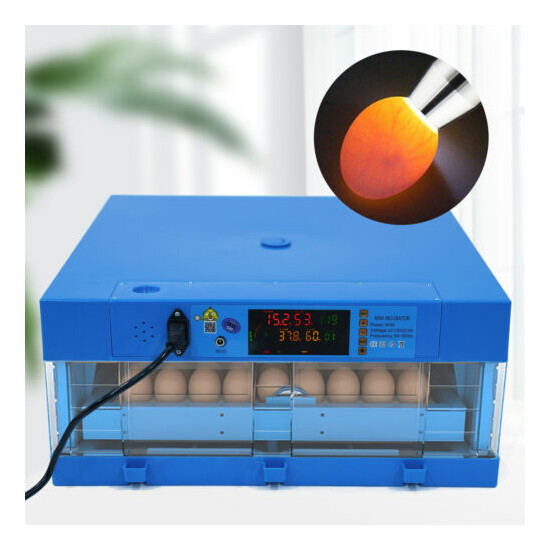 64 Eggs Digital Incubator Hatcher Poultry Hatching Machine Automatic Turning image {1}
