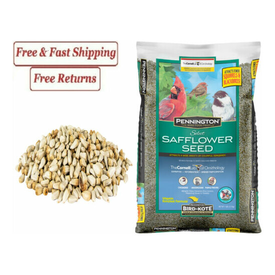 Pennington Select Safflower Seed, Wild Bird Feed and Seed, 7 lb. Bag image {1}